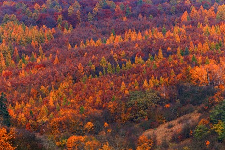 barvy-podzimu.jpg